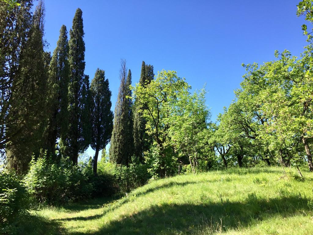 Agriturismo Cervano Toscolano Maderno Dış mekan fotoğraf