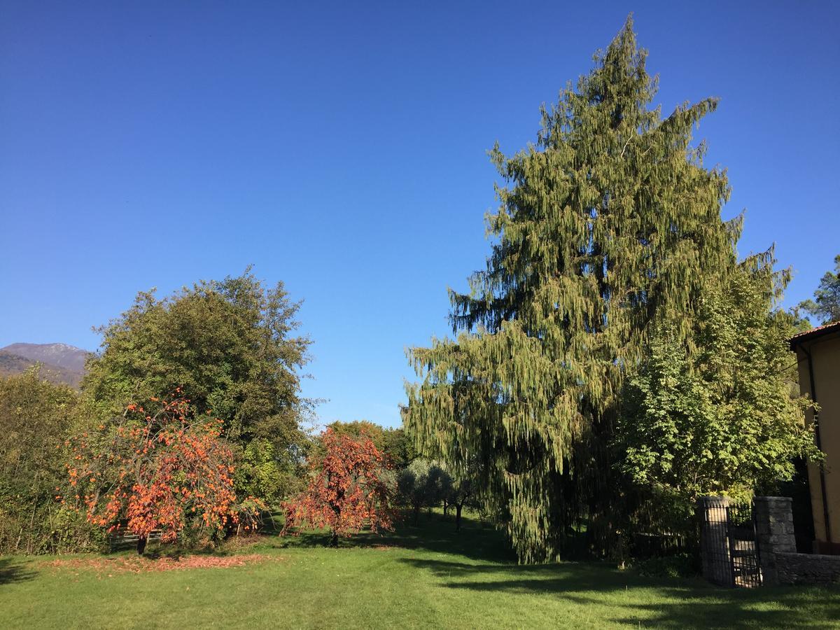 Agriturismo Cervano Toscolano Maderno Dış mekan fotoğraf
