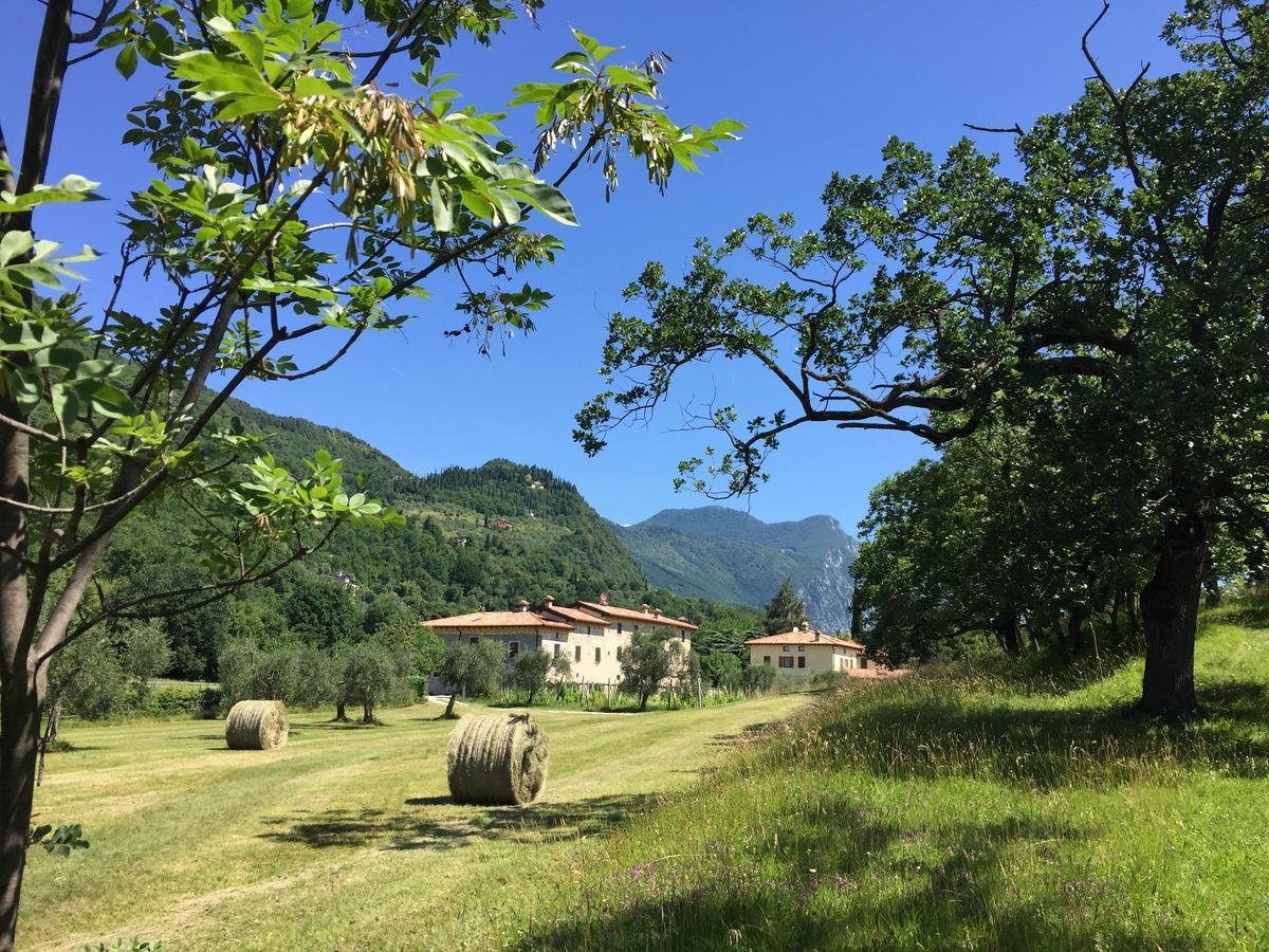 Agriturismo Cervano Toscolano Maderno Dış mekan fotoğraf