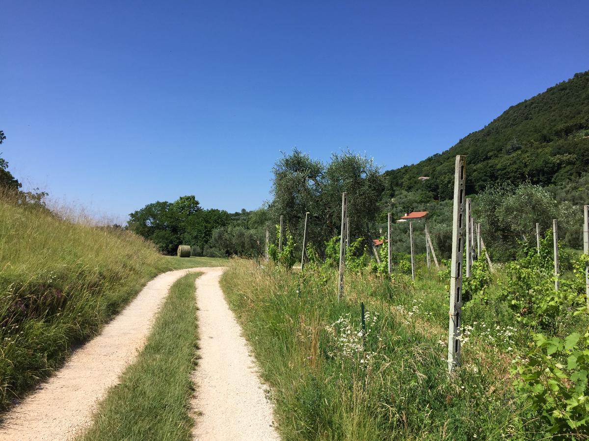 Agriturismo Cervano Toscolano Maderno Dış mekan fotoğraf